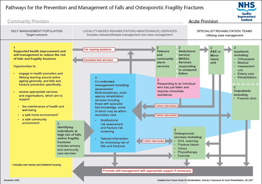 Up and About: Pathways for the Prevention and Management of Falls and Fragility Fractures Places the different aspects of fall and fragility fracture prevention and management in the context of a