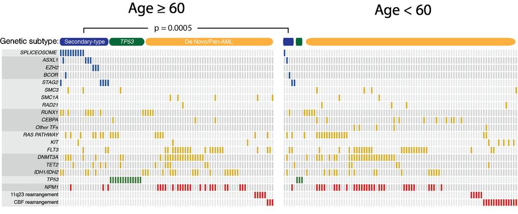 Supplementary Figure S11 - Secondary- type genetic alterations in non- M3 de novo AML (TCGA).