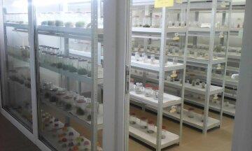 Plant Tissue Culture Eliminates the posibility of transmitting viruses to offsprings Or