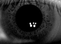 Ophthalmologists distinguish irises based on the structural features including moles, freckles, nevi and crypts while current iris recognition systems use binary sequences