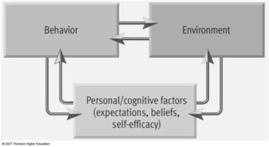 base Sexist views Behaviorist and Social Cognitive Perspectives B. F.