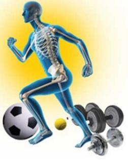 Exercise plays an important role in building and maintaining bone strength.