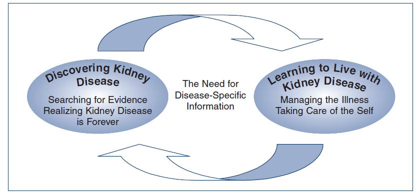 Renegotiating Life with Chronic Kidney Disease Constantini et al.