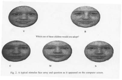 12.5%... Sample stimulus array Sample DVs Which one of these children would you be most likely to adopt?