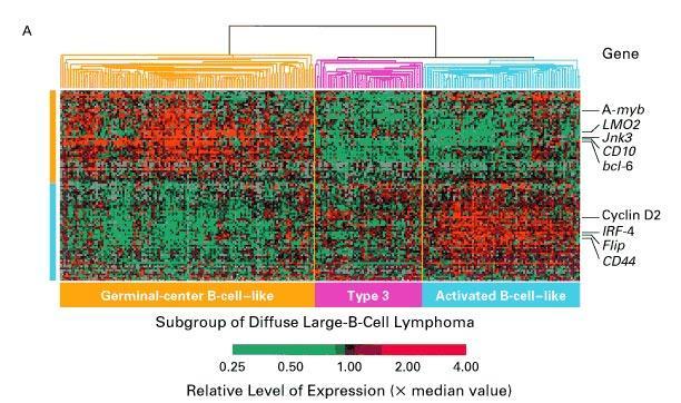 cdna Microarray for Prognosis Gene Expression Profiling, Rosenwald NEJM 2002 Diffuse Large-B-cell Lymphoma Common cause of adult lymphoma Chemo.