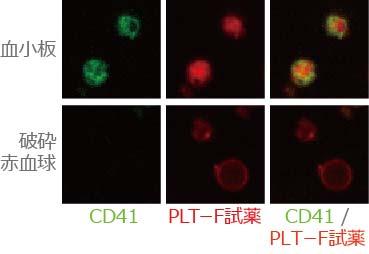 light CD41/CD61 positive = Platelets Staining by PLT-F