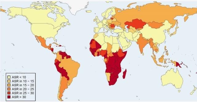 A B Figure 10. Worldwide age-standardized incidence rates of anogenital cancer attributable to HPV in 2012. A) Cervical cancer, women.