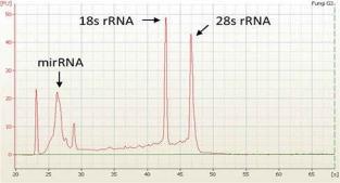 A B C Figure 31. Total RNA analysis performed on the Agilent 2100 Bioanalyzer.