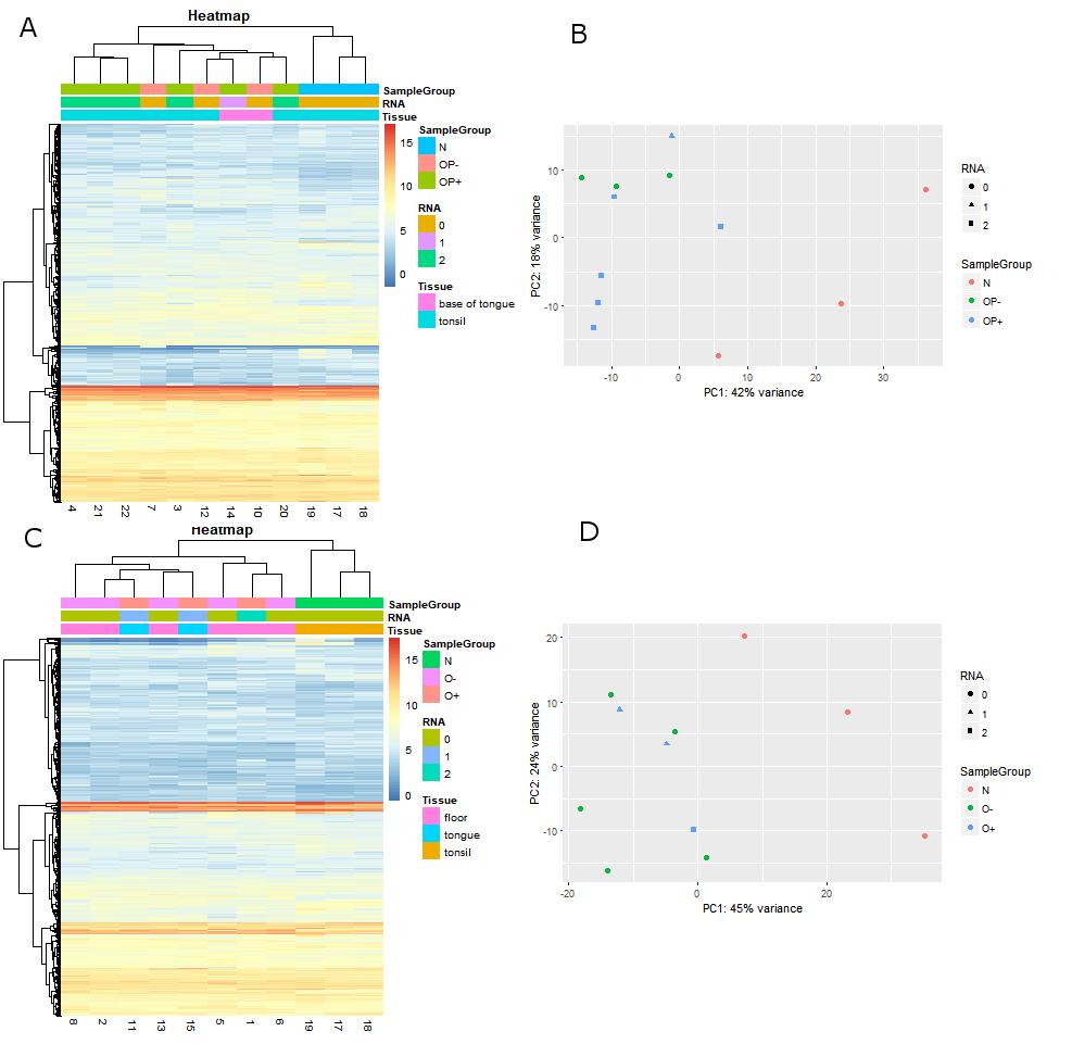 Figure 35. Clustering of the samples divided into oropharyngeal (OP) and oral (O) subgroups (panels AB, and CD) using heatmap (A & C) and PCA (B & D) plots.