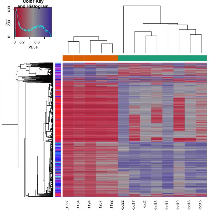 Figure 41. Hierarchical clustering of samples based on all methylation values. The heatmap displays only selected sites/regions with the highest variance across all samples. 4.4.2.