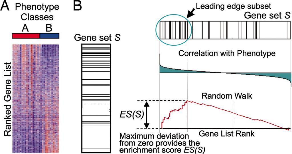 Pathway-Based Analysis Gene Set Enrichment