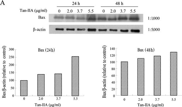 INTERNATIONAL JOURNAL OF MOLECULAR MEDICINE 34: 1661-1668, 2014 1663 Figure 1. Cytotoxic effects of tanshinone IIA (Tan IIA) on AGS cells.