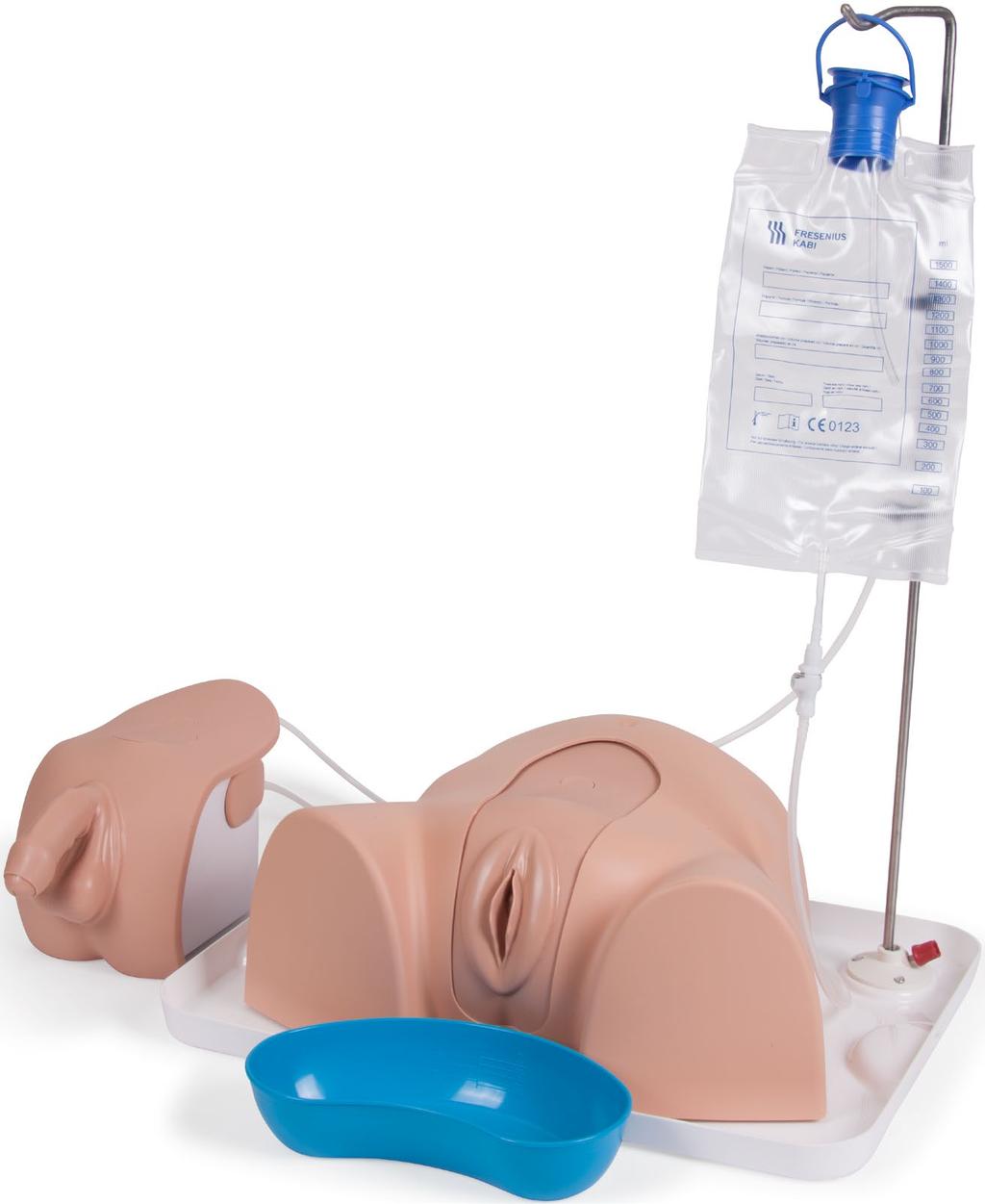 Advanced Catheterisation Trainer Product No: 60150 User Guide For more skills training products visit limbsandthings.