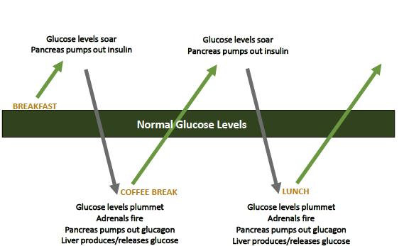 MACRONUTRIENTS: A SOURCE OF FUEL FOR ENERGY BLOOD SUGAR