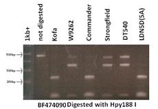 Low Grain Cadmium uptake: Cdu1 (chromosome 5BL) OPC20 0.4ppb 400 0.4 Cadmium ppb in grain. Imperial Cadmium ppb in grain. Imperial Cdu1 0.5 cm 0.3 300 0.3 Cdu1, BF474090 0.2 200 0.2 0.2 cm 0.1100 0.