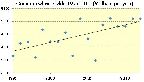 Wheat Breeding Common wheat Identify and deploy new sources of