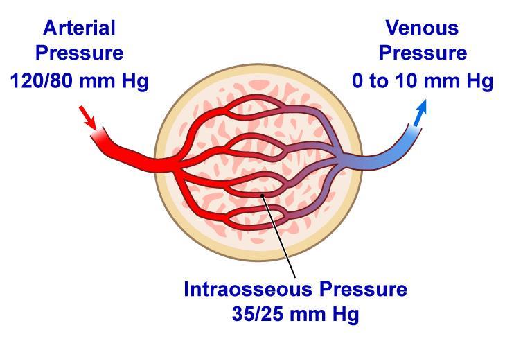 Intra-medullary Pressure