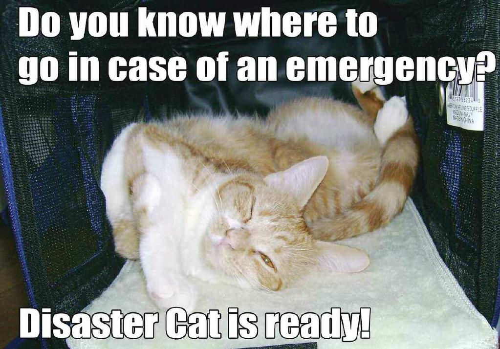 May 2013 Don t forget to include your pets in your preparedness plan!