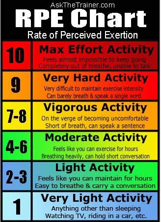 RPE: Relative Perceived Exertion Scale Subjective measurement of exertion intensity
