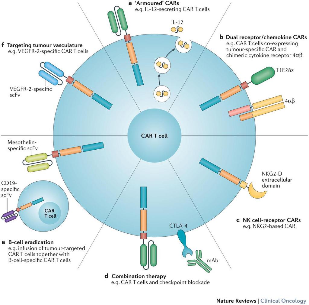 Approaches to Improve CAR T-cell Therapy More potent gene editing combination More regulated conditional switch Shorter delivery time Production