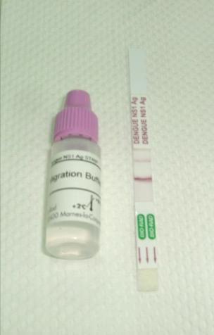 Tests for Viremic/Fever phase : Dengue NS1 antigen assays NS1 membrane/secreted NS1, secreted NS1 could be detected at day