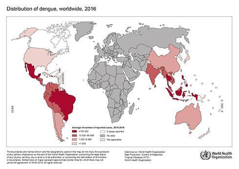 Zika, dengue and chikungunya Three similar diseases