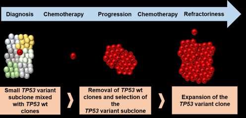 Incidence of TP53 aberrations increases with disease progression and lines of treatment 50% 40% 30% sole TP53 variant del(17p) del(17p) + TP53