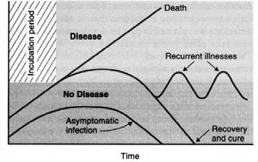 0%) Disease usually results from inconclusive negotiations for symbiosis, an overstepping of the line by one side, a biologic misinterpretation of borders Lewis Thomas Germs, 1974 Terminology and