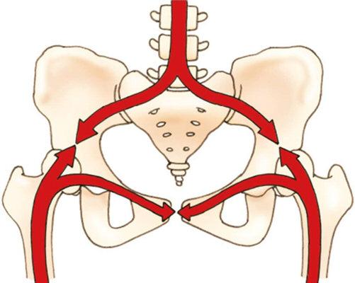 Major ligaments of the SI joint: Sacroiliac ligaments Sacrotuberous