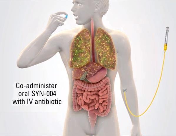 SYN-004 Co-Administered wit IV Antibiotics Designed to neutralize β-lactam antibiotics in GI