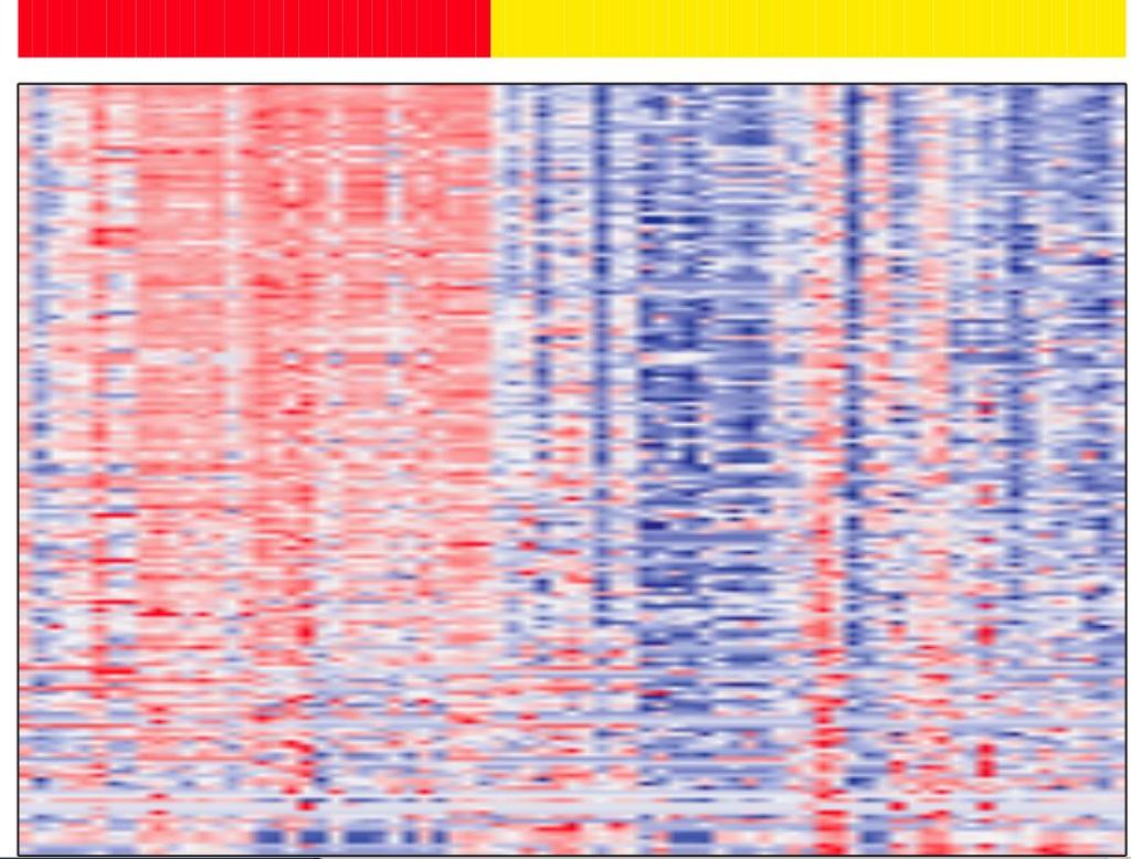 micrornas microrna expression patterns in normal vs cancer tissues Colon Pros