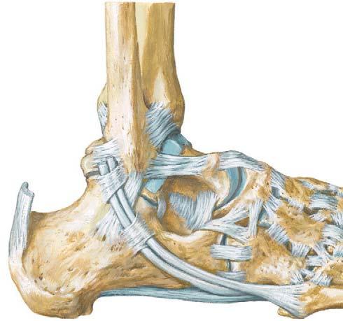 Associated with rotational injury