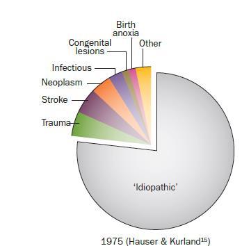 Causes of epilepsy Genomic