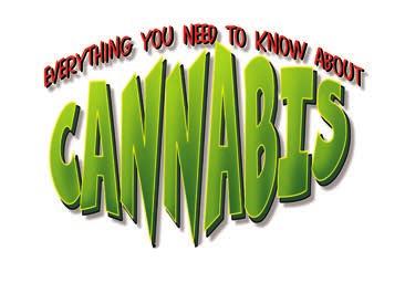 This leaflet is aimed at young people who want to make an informed decision about cannabis, but