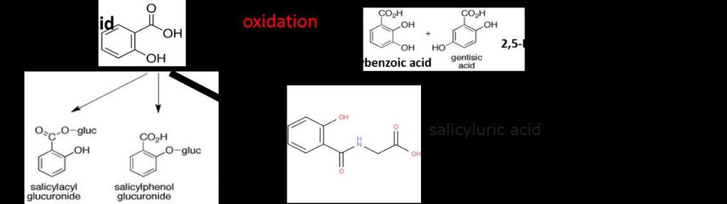 Salicylic acid metabolites [nmol] METABOLITE IDENTIFICATION Salicylic acid metabolite formation HepatoPac 0.030 0.025 0.020 0.015 0.010 0.005 0.