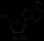 (α-aminoether). Adenosine is an example of a glycosylamine that is also called a nucleoside. 2. Amino sugars A sugar in which an amino group replaces a nonanomeric H group. e.g. D-glucosamine.