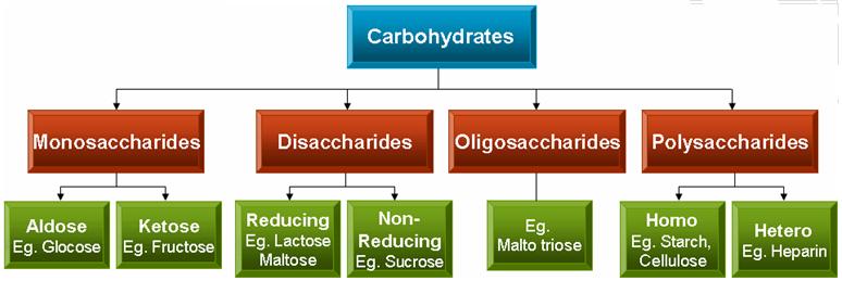 Classification of carbohydrates Monosaccharide (C 6 H 12 6 ) it is a simple carbohydrate, one that one attempted hydrolysis is not cleaved to smaller carbohydrates. e.g.