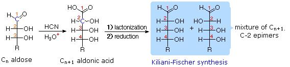 oxidation to an aldaric acid. Thus, allitol and galactitol from reduction of allose and galactose are achiral, and altrose and talose are reduced to the same chiral alditol.