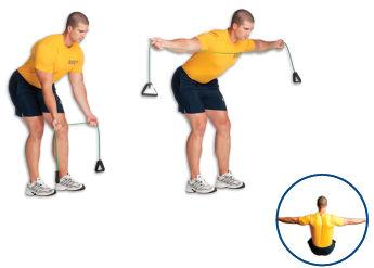30 T s Bent Over (Bands) Stand bent over at the waist with your back flat and your chest up. Take hold of a light resistance band in both hands.