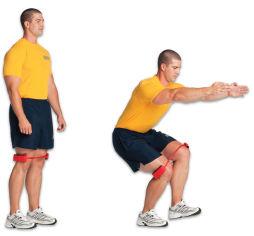 37 Single Leg Squat w/ Mini band Stand on one foot with your arms at your sides with good posture, with a mini band just above your knees.