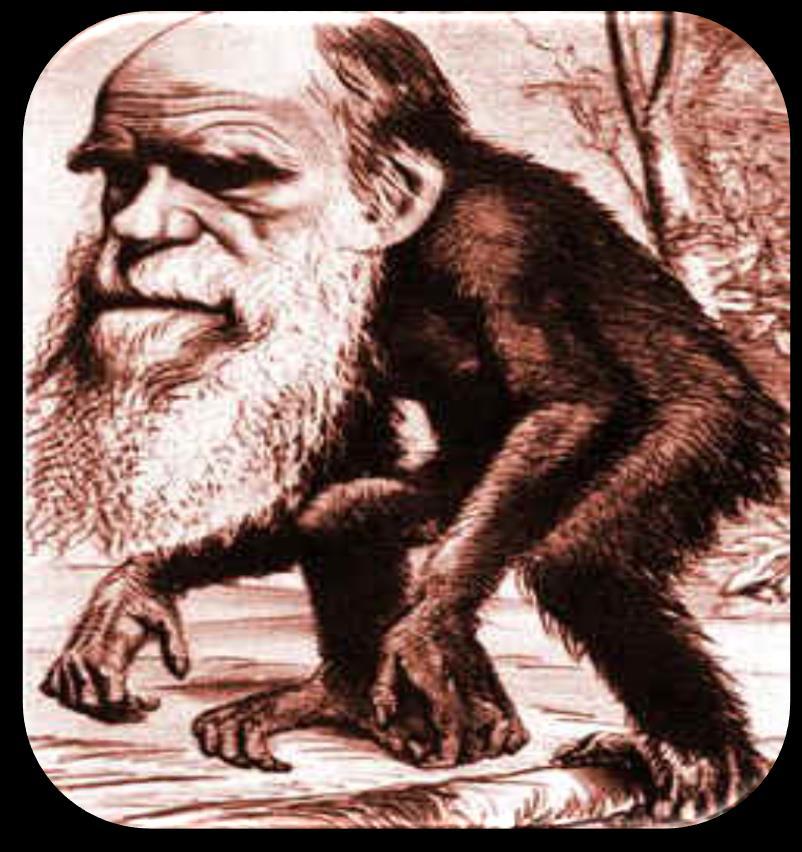 Key Players- Charles Darwin Buzz Words: Genes, natural selection EVOLUTIONARY APPROACH Explains that behavior is a result of