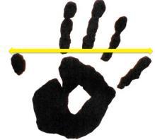 Activity: CSI Stats The Case of the Missing Cookies Collect Height and Hand Span of each member of your group in cm We are going to use the Hand Print span information to predict the prime s suspect