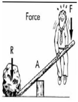 b) Types of levers i) First class levers: Axis is between the effort (or force) and the resistance. (1) Produce balanced movements when axis is midway between force & resistance (e.g.