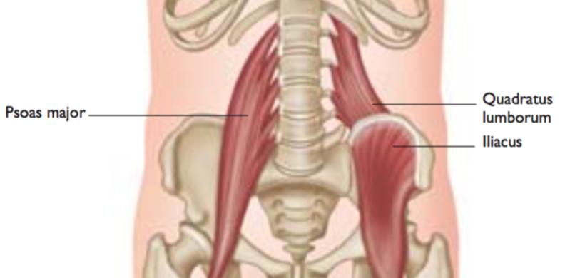 The muscle could also continue to tear, eventually leading to a complete rupture from the attachment. Immediate Treatment Cessation of activities that aggravate the hip flexors.