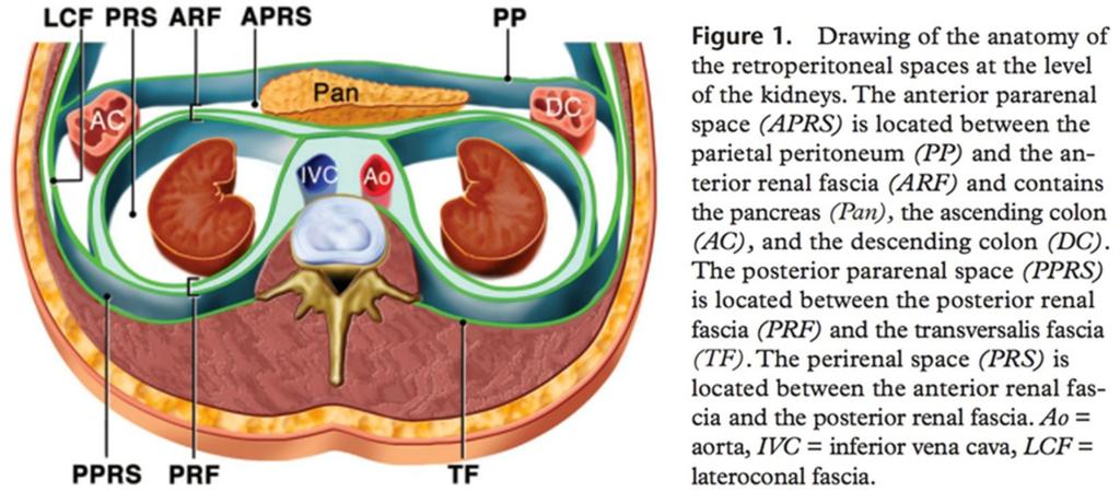 Retroperitoneal lesions can either from the retroperitoneal organs or primary retroperitoneal lesions.