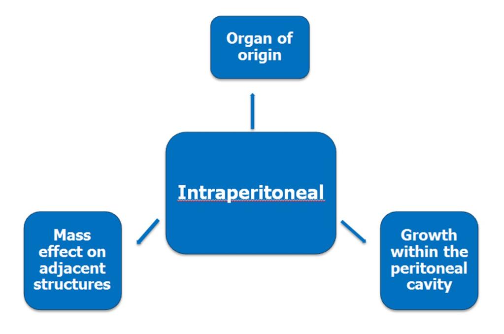 Fig. 26: Step 4-Identifying Intraperitoneal