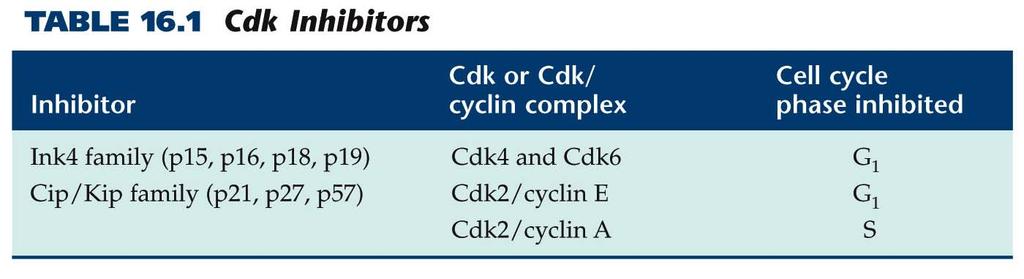 Regulators of Cell Cycle Progression 4.