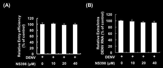 Figure S5. NS398 did not interfere DENV-2 entry and assembly. NS398 did not decrease DENV-2 entry (A) and assembly (B).