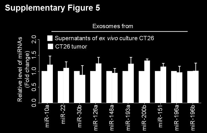 Supplementary Figure 5 qpcr analysis of selected mirnas level in exosomes from the culture