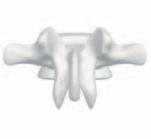 XX Determine entry point and position of pedicle screws a.